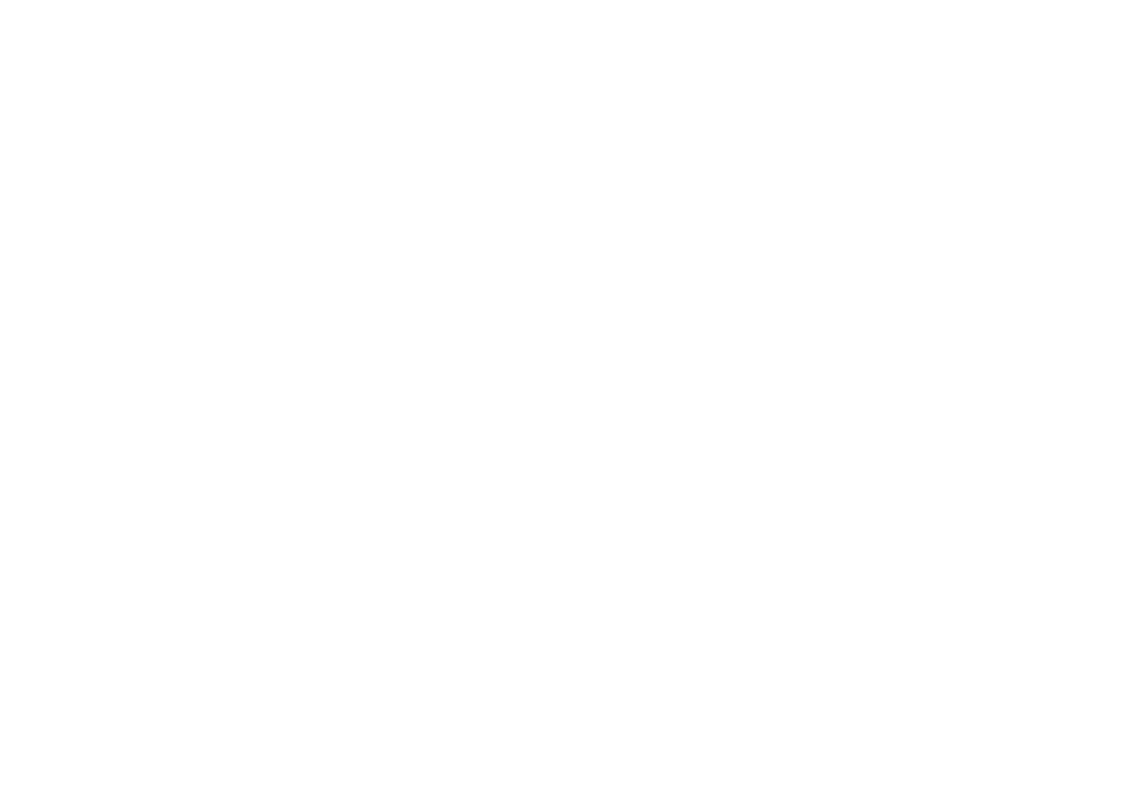 OnzeVibe Logo